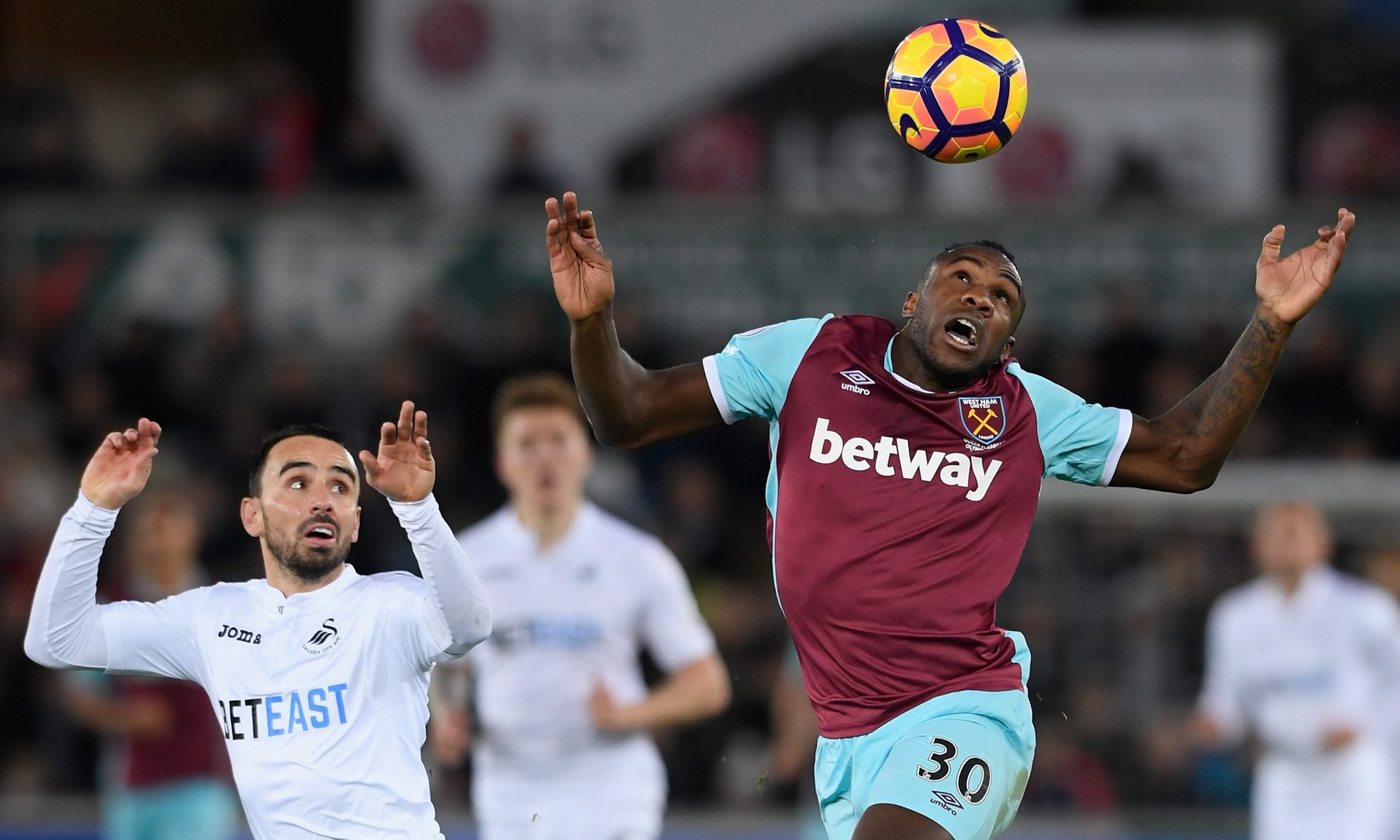 迷宠儿的原 迷宠儿的原